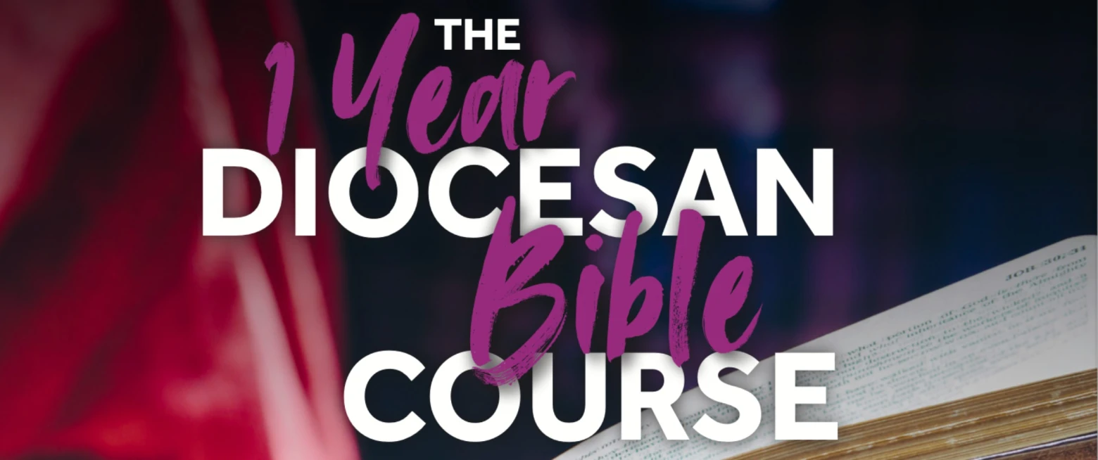 1 Year Diocesan Bible Course logo