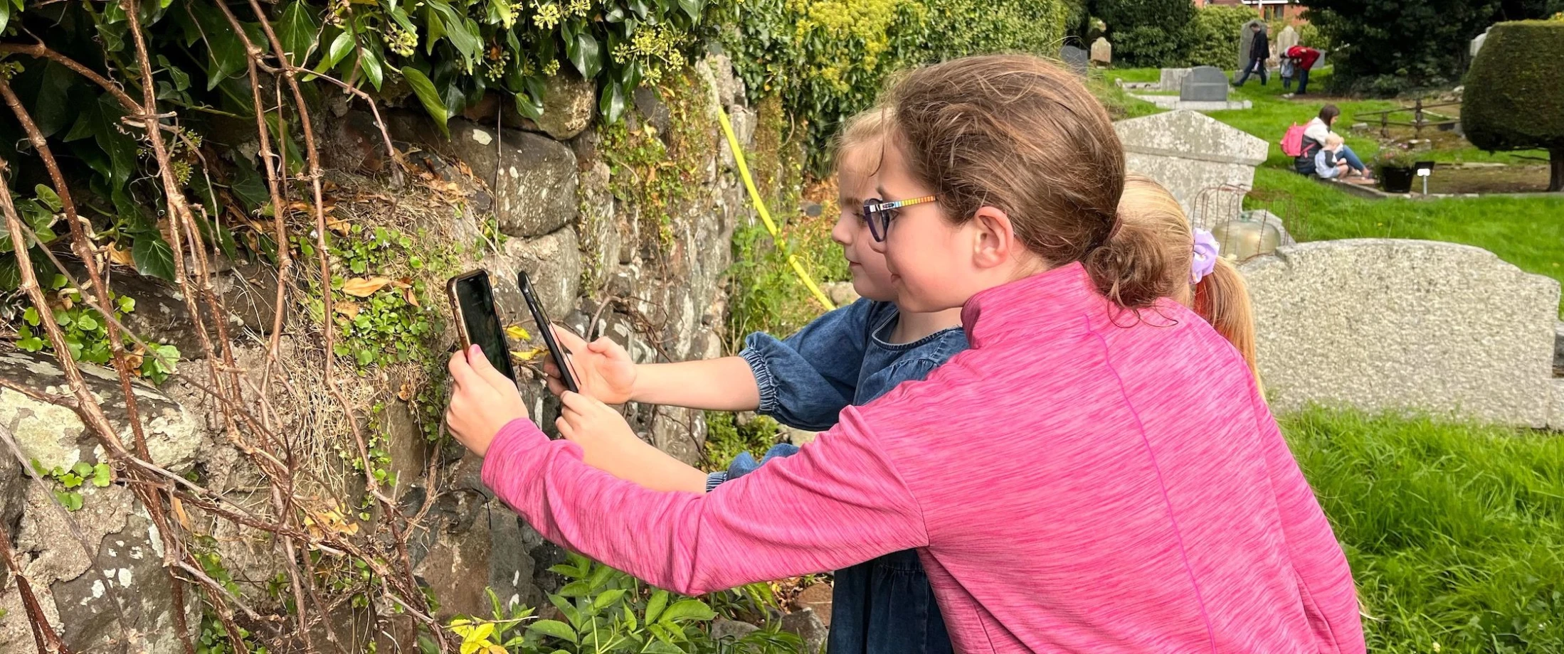 Magheralin Graveyard Bioblitz