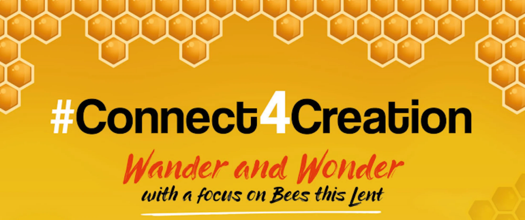 Wander and wonder #Connect4Creation