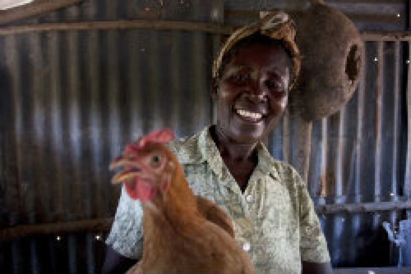 Christian Aid gifts that give and give…