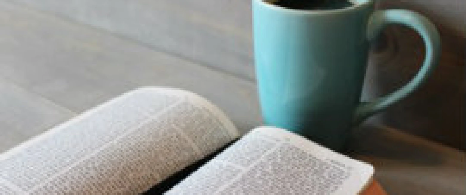 Could you have a ministry as a Diocesan Lay Reader?