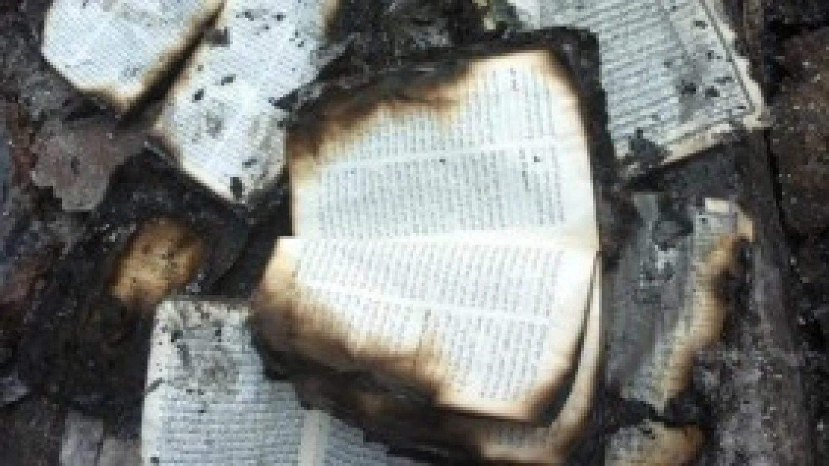 Christian bookshops destroyed in Egypt