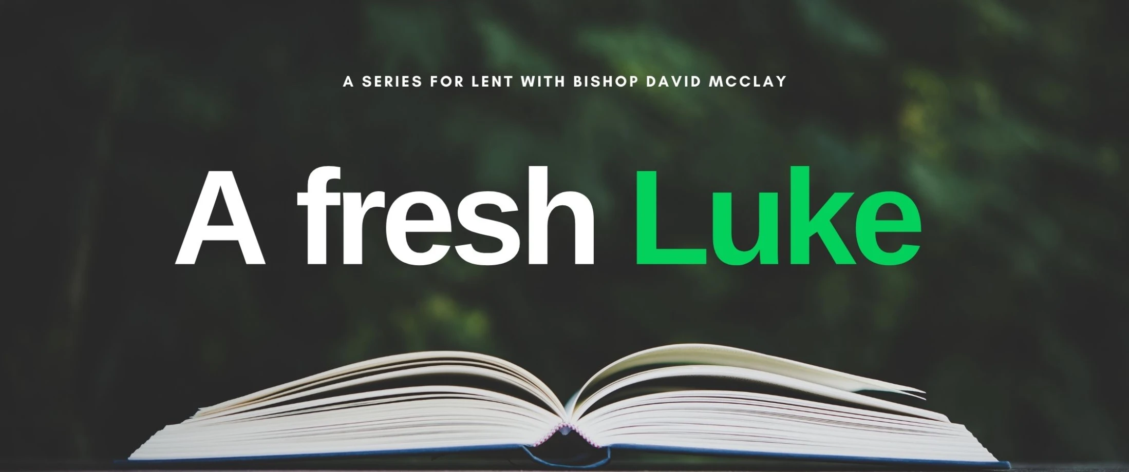 Bishop David takes ‘A fresh Luke’