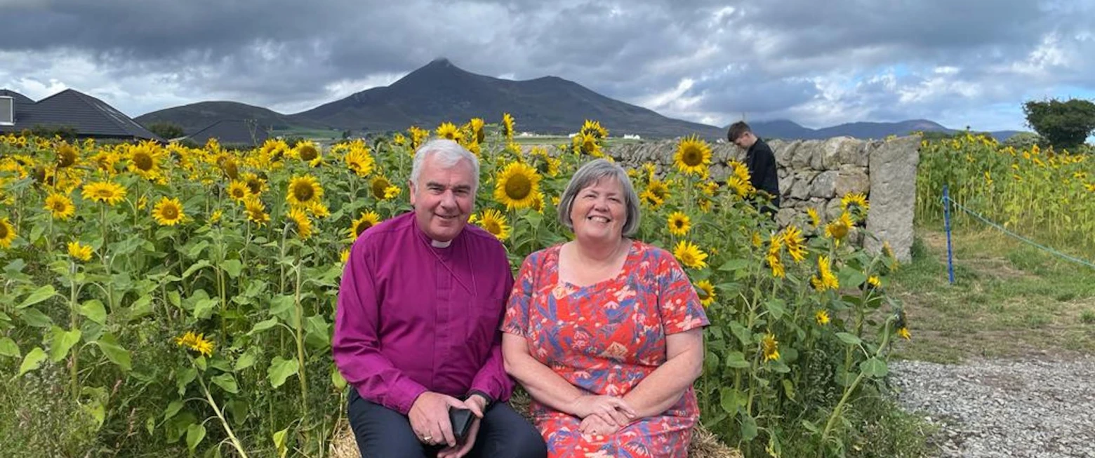 Carginagh Sunflower Fields still in bloom