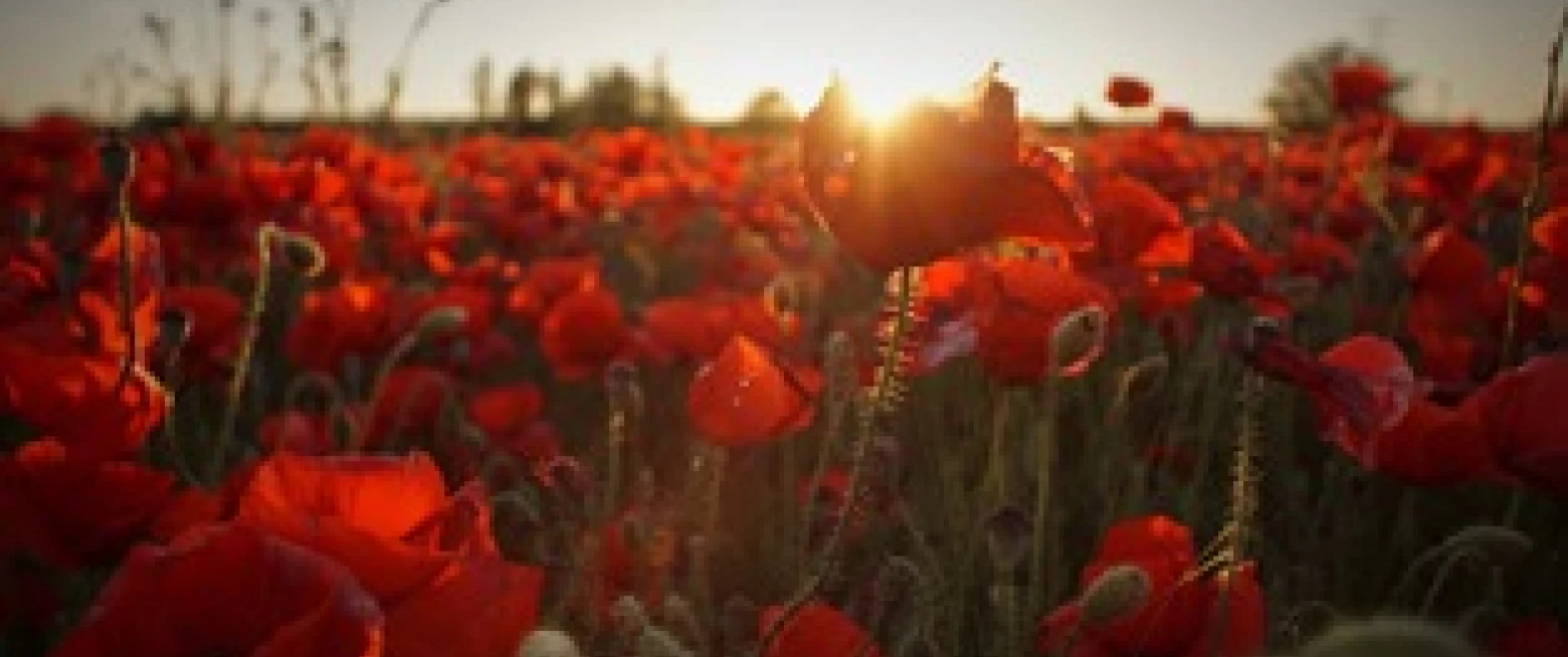 Somme Commemoration at St Anne’s Cathedral