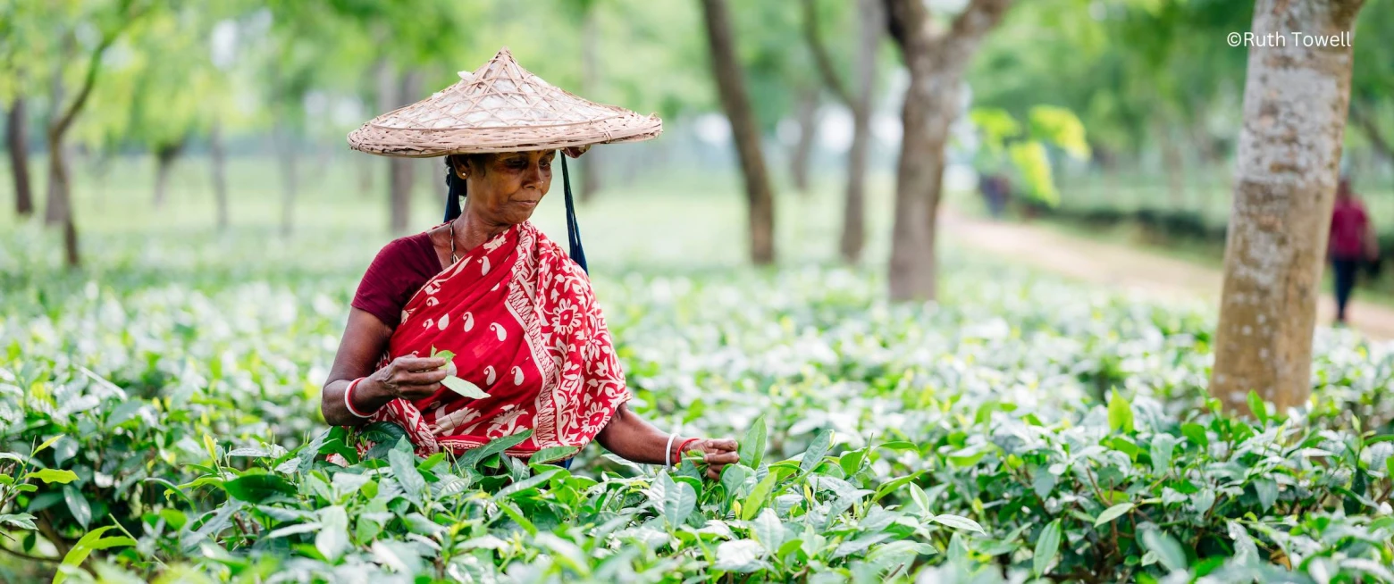 The power of a cuppa reaches from Knockbreda to Bangladesh