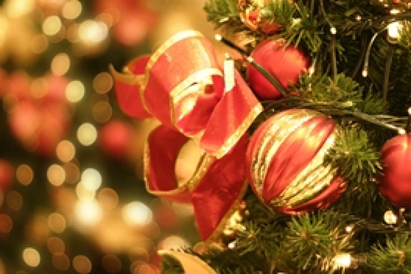 Hillsborough Parish celebrates 350 years with a Christmas Tree Festival