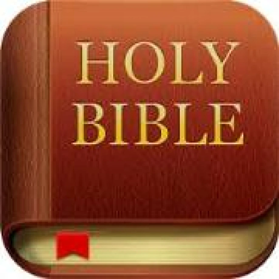 The Bible App goes from strength to strength