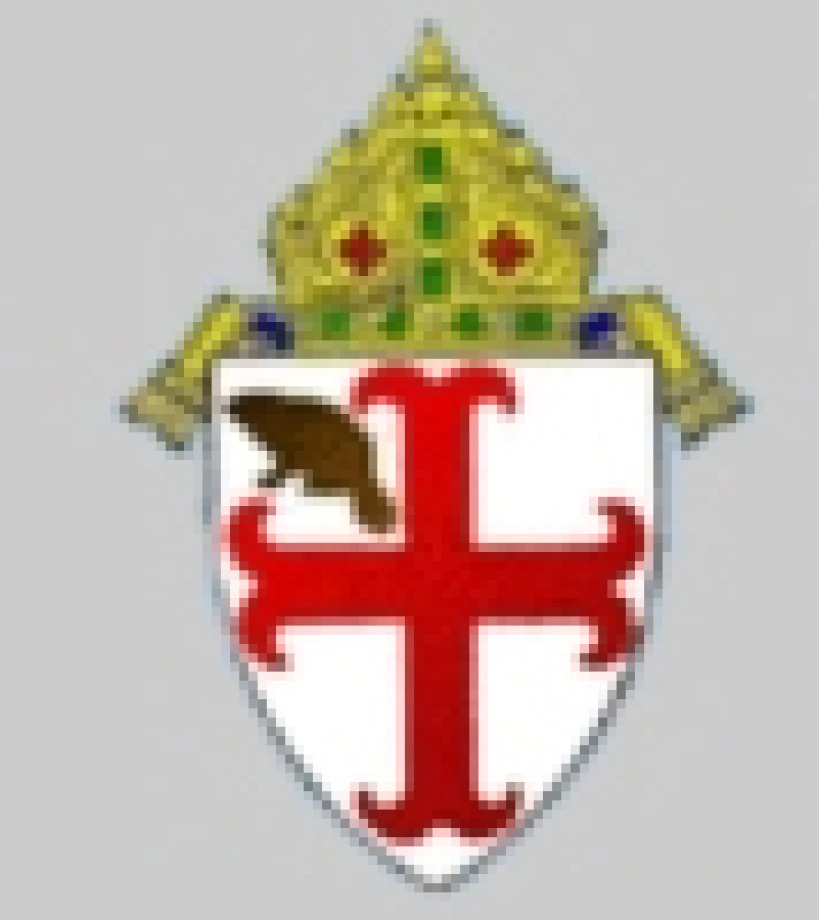 Albany Diocese soon to elect a new bishop